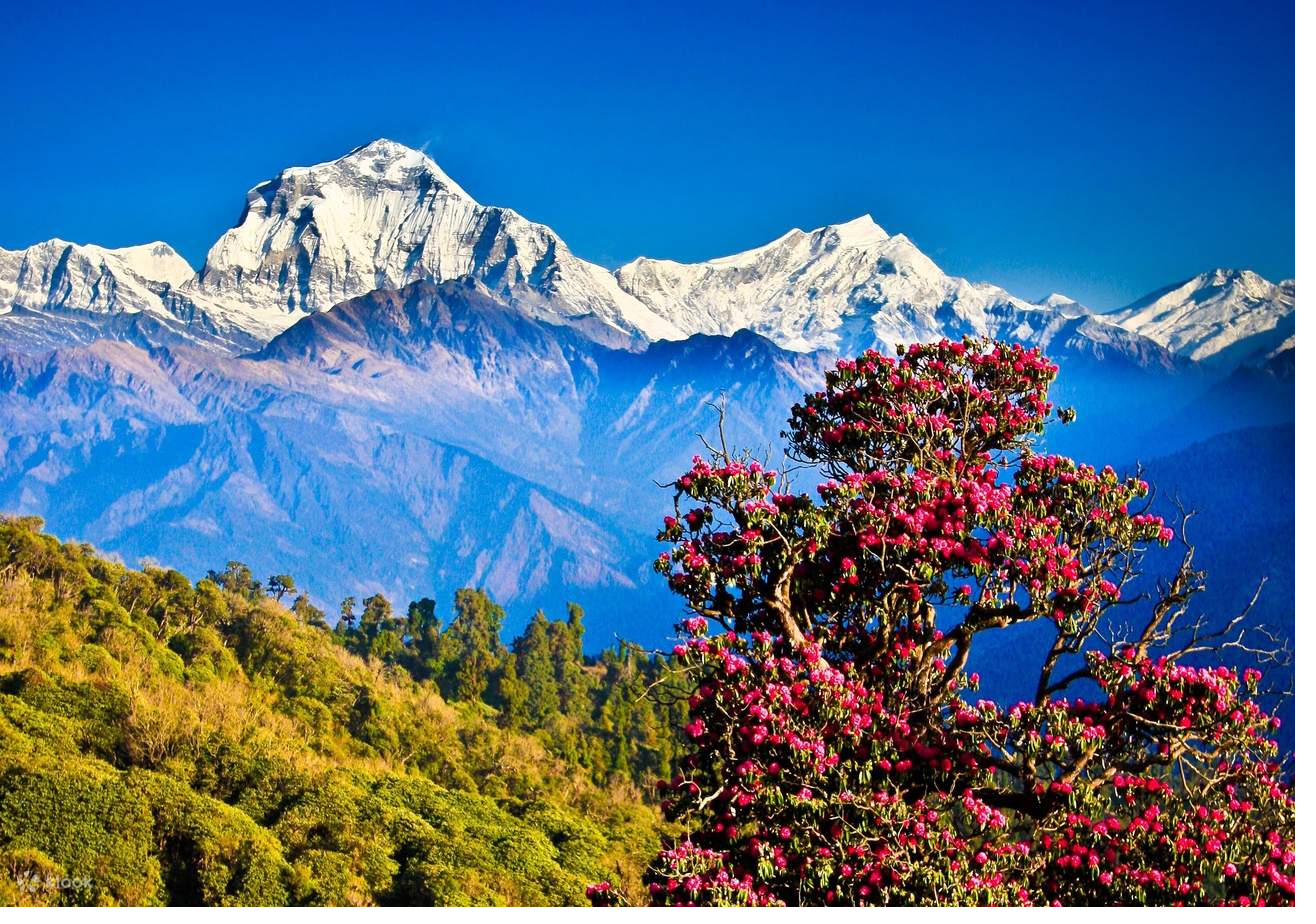 Nagarkot — Himalayan sunrise view, a 90-minute drive